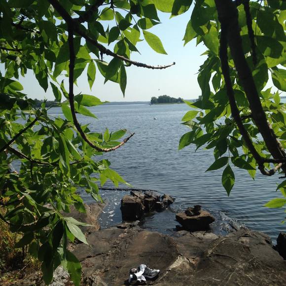 Meet your Posher, Robin - Picture 1 of 1